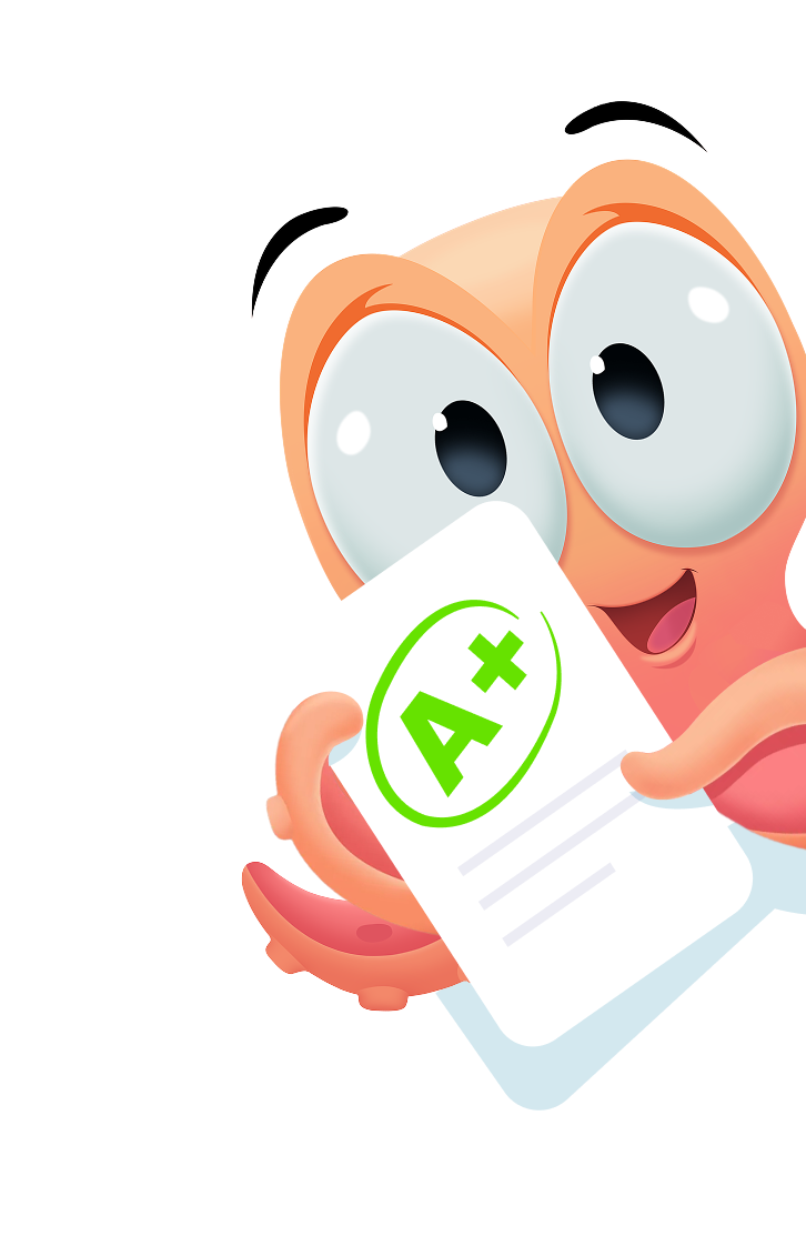 assessment icon